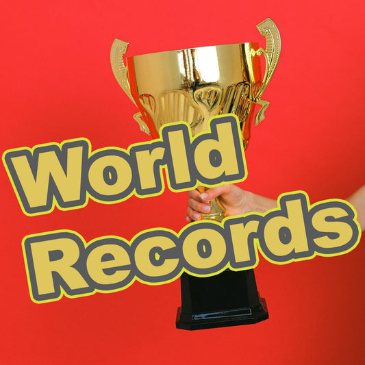 Slot Car World Records and Racing Achievements
